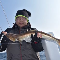 渡船屋たにぐち 釣果