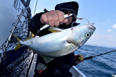 渡船屋たにぐち 釣果