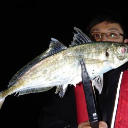 シースナイパー海龍 釣果