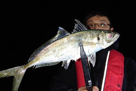 シースナイパー海龍 釣果