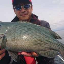 シースナイパー海龍 釣果
