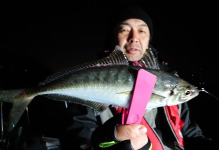 シースナイパー海龍 釣果