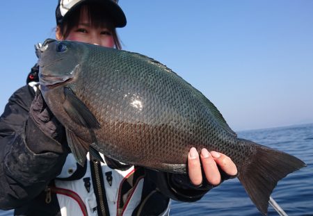 シースナイパー海龍 釣果