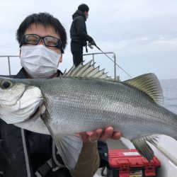 Seasonal 釣果