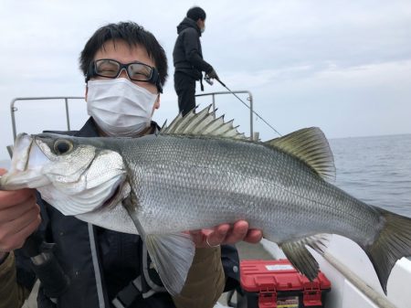 Seasonal 釣果