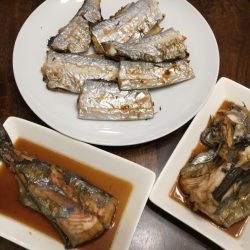 阿波哲 釣果