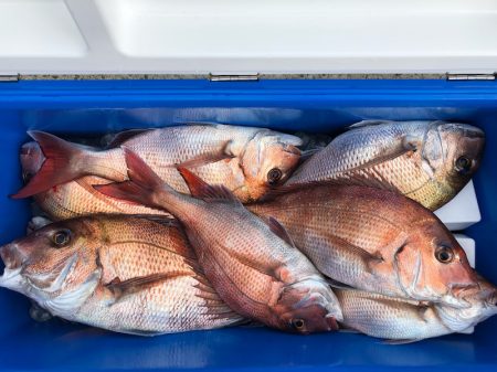 第二八坂丸 釣果