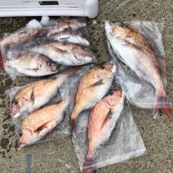 第二八坂丸 釣果