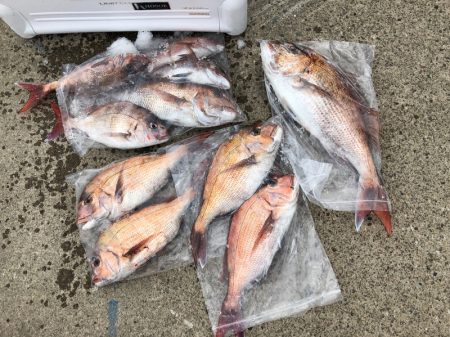 第二八坂丸 釣果