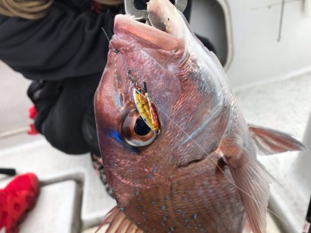 龍神丸(鹿児島) 釣果