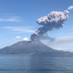 龍神丸(鹿児島) 釣果