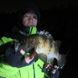 Chase(チェイス) 釣果