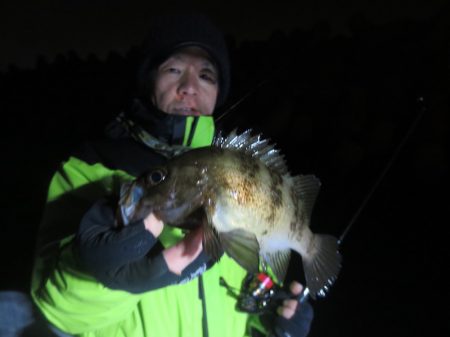 Chase（チェイス） 釣果