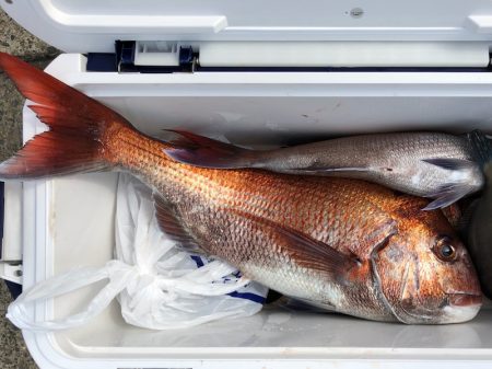 第二八坂丸 釣果