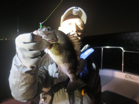 Chase（チェイス） 釣果