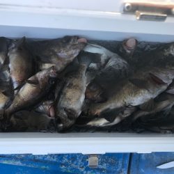 海龍丸（石川） 釣果