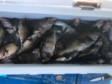 海龍丸（石川） 釣果