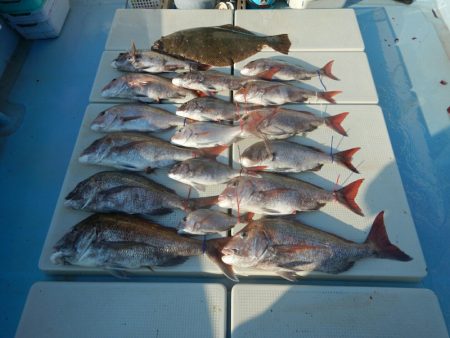 きずなまりん 釣果