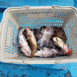 さち丸 釣果