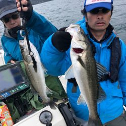 「LaGooN」蒼陽丸 日和号 釣果