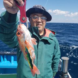 丸万釣船 釣果