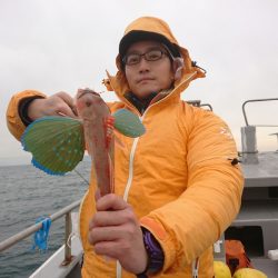 ありもと丸 釣果