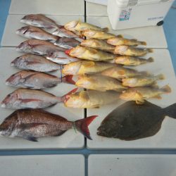 きずなまりん 釣果