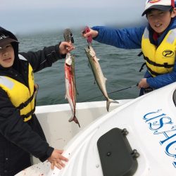 うさぎ丸 釣果