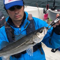 「LaGooN」蒼陽丸 日和号 釣果
