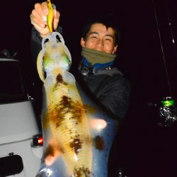 South Current 釣果