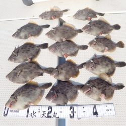 水天丸 釣果