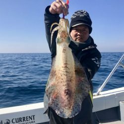 South Current 釣果