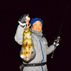 South Current 釣果