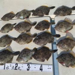 水天丸 釣果