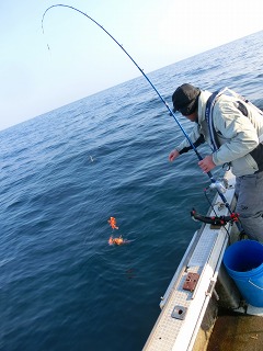 第二清洋丸 釣果