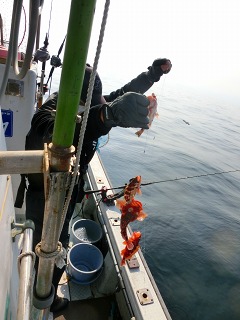 第二清洋丸 釣果