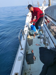 第二清洋丸 釣果