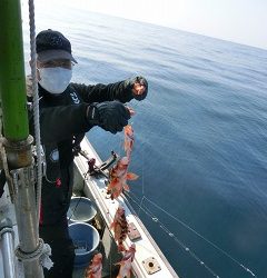 第二清洋丸 釣果