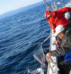 第二清洋丸 釣果