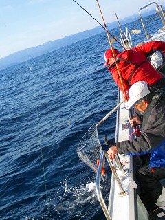 第二清洋丸 釣果