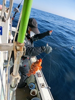 第二清洋丸 釣果