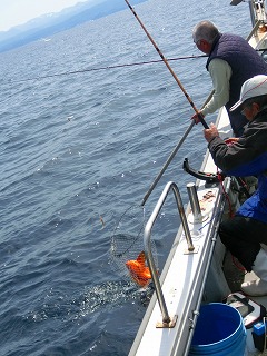 第二清洋丸 釣果