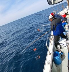 第二清洋丸 釣果