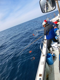 第二清洋丸 釣果