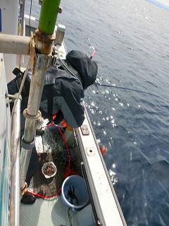 第二清洋丸 釣果