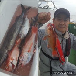 もと明丸 釣果