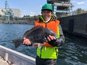 NAGASHIMA MARU(永島丸) 釣果