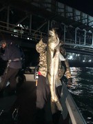 ＮＡＧＡＳＨＩＭA ＭＡＲＵ（永島丸） 釣…