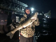 ＮＡＧＡＳＨＩＭA ＭＡＲＵ（永島丸） 釣果
