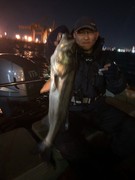 ＮＡＧＡＳＨＩＭA ＭＡＲＵ（永島丸） 釣果